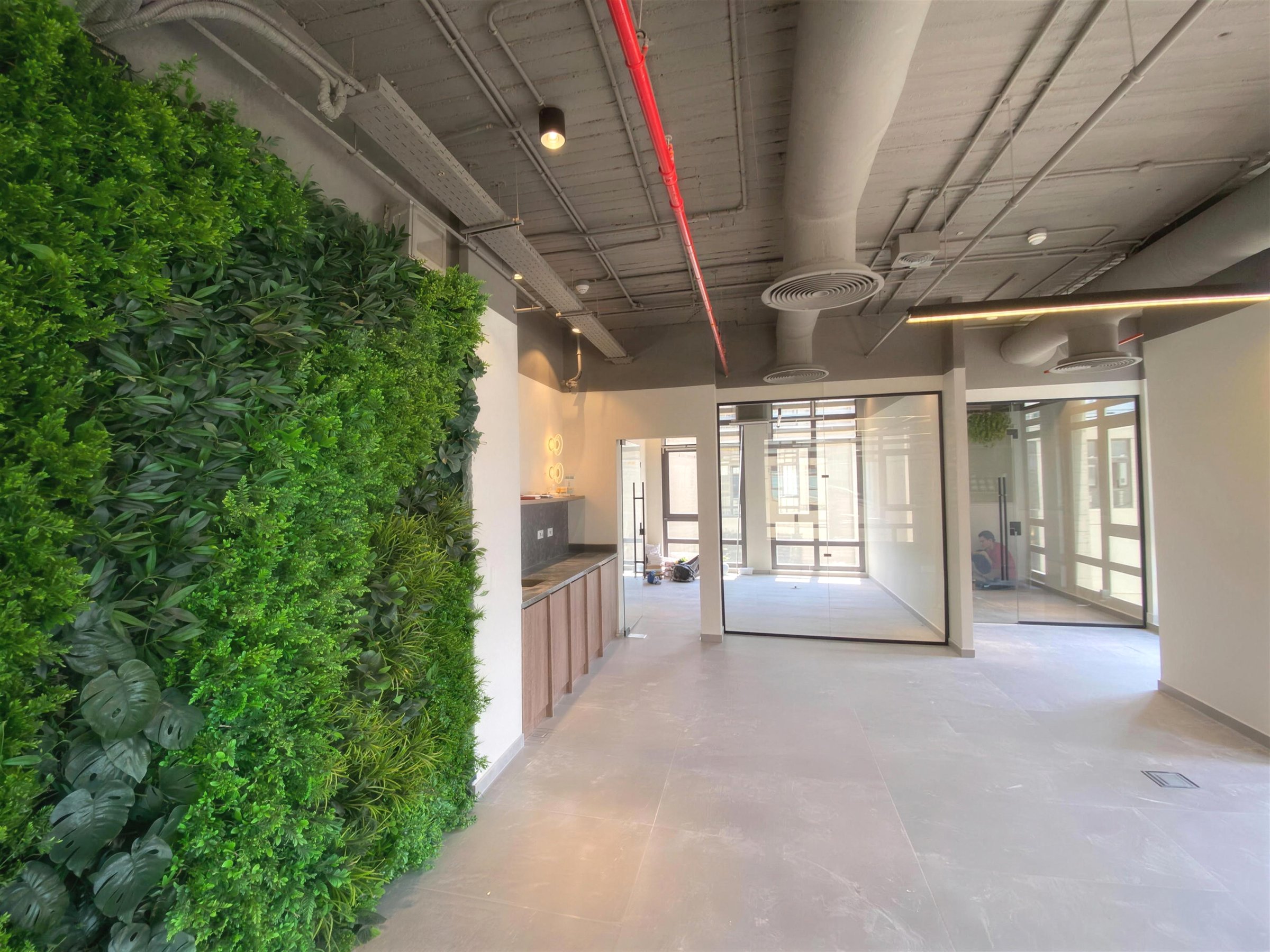 Regency — open office floor with a living green wall and exposed services ceiling